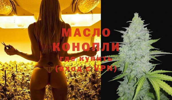 шишки Белоозёрский